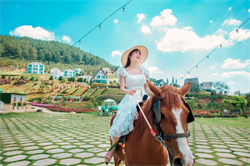TRẢI NGHIỆM CƯỠI BẠCH MÃ TẠI DALAT WONDERLAND – ĐIỂM NHẤN DU XUÂN NĂM BÍNH NGỌ ĐẦU NĂM TẠI ĐÀ LẠT