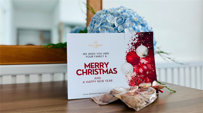 🎄 Giáng Sinh An Lành Tại Dalat Wonder Resort – Gửi Trao Yêu Thương Mùa Lễ Hội 🎄